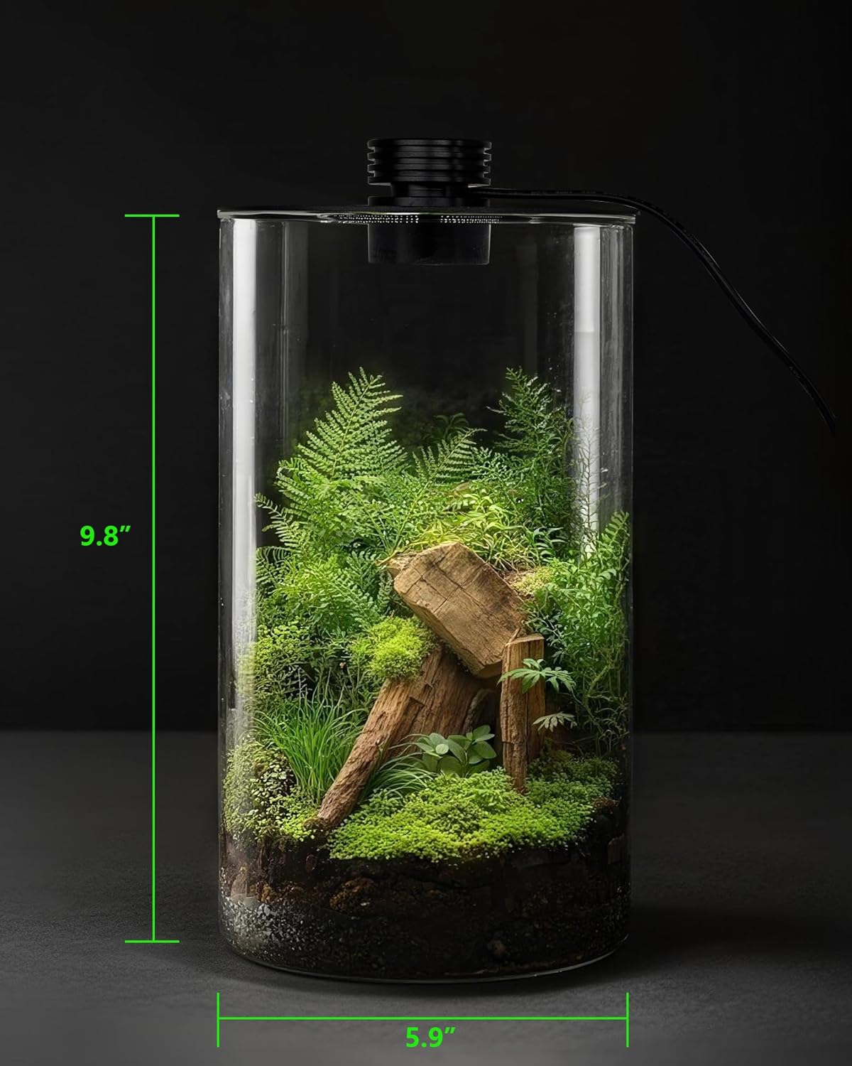 حوض زجاجي داخلي مع إضاءة نمو ا - مراجعة Home Office With Plants وسعره
